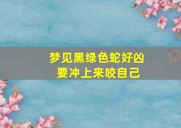 梦见黑绿色蛇好凶 要冲上来咬自己